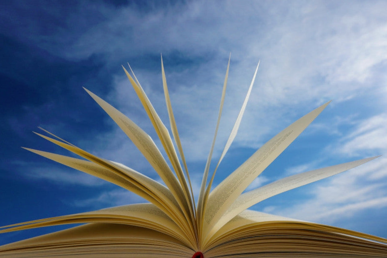 Recepten van Hildegard von Bingen: werking, gebruik en dosering