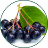 appelbes