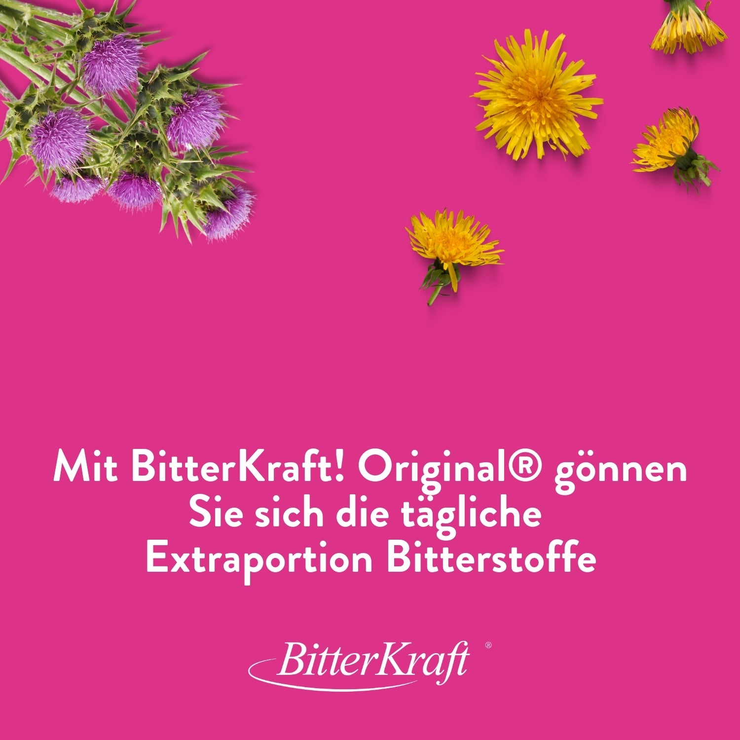 BitterKraft! Original Alkoholfrei (BIO) 100ml + Gratis Spray