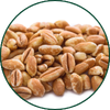 Spelt