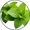 Groene munt